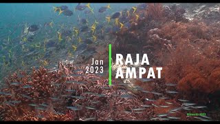 202301 Raja Ampat