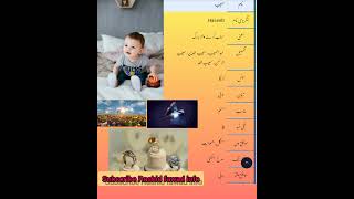 Haseeb حسیب islamic Baby Boy Name Meaning in Urdu & Hindi || Islamic Baby boy Name