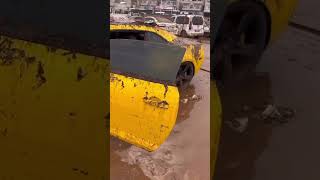 Flooded camaro of turkey