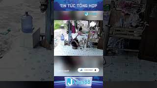 Thanh niên đang ngủ trưa thì bé na đến thăm  #tintuc24h  #tintuc #okvipxuhuong #tinmoinhat