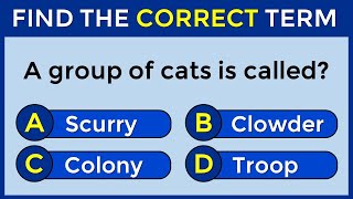 Vocabulary Challenge: Find The Correct Term! #challenge 25