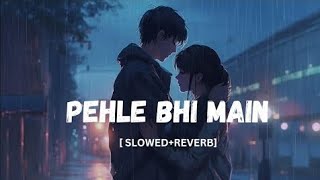 pehle bhi main  (slowed+reverb)  | Vishal Mishra | animal |  #lofi song ||