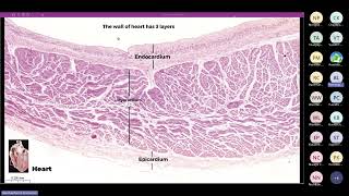 histo 13 September BE 2567