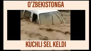 O’zbekistonga 2019-yil “KUCHLI SEL KELDI”