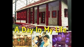 🎉100th Video🙌🎊 | தமிழில் DIML- A day in my life | Shopping | Fun | FlowerShow |  Family Time