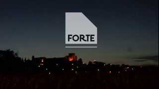 FESTIVAL FORTE 2014 [overview]