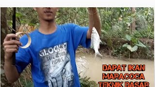 Disini masih banyak ikan keting