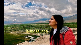 Unveiling the Spectacular Shey Palace - Exploring the Gem of Ladakh!