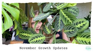 Growth Updates & Stem Rot Storytime