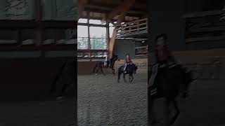 Подъёмчик с рыси #horse #тренды#лошади#music#конь#расстроен#топ#pomeranian#видео#собака#галоп