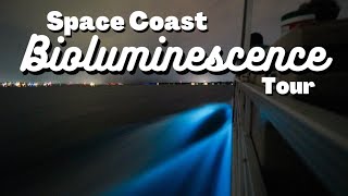 Bioluminescence in Florida, near Cocoa Beach on the Indian River | Florida Summer Vacation Series