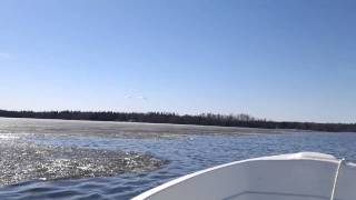 Springtime at the lake of Larsmo.