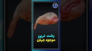 زشت ترین موجود جهان