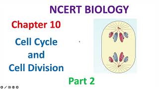 Chapter 10 - Cell Cycle and Cell Division Part 2- Class XI, NCERT [Hindi] Notes and Lecture