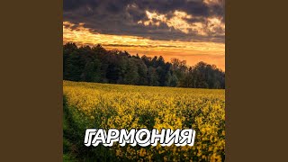 С ТИШИНОЙ НАЕДИНЕ