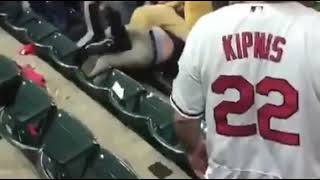 Fans fight on stadium