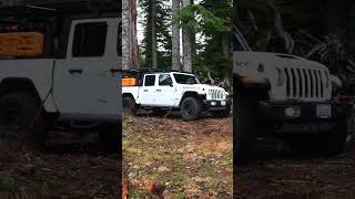 Jeep Camping #shortvideo #reels #jeep #jeeplife #automobile #fypシ゚viral