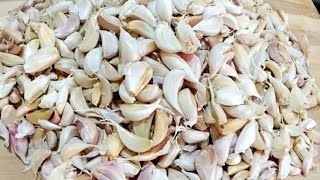 6 tareeke Lehsun peel karne ke/ 6 ways to PEEL GARLIC/ Fastest techniques to PEEL GARLIC