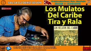 Los Mulatos del Caribe - Tira y Rala | Peru Salsa | Deniz Seven Salsa Channel |