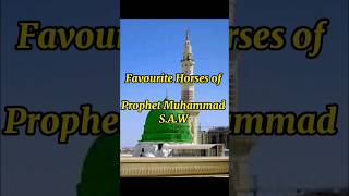 Favourite horses of Prophet Muhammad S.A.W ❤💗❤#youtubeshorts #ytshorts #islamicstatus #youtube