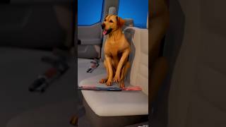 Dog Shoots Owner 😨 #shorts (3D ANIMATION)