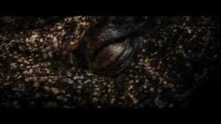 The Hobbit (2013) The Desolation of Smaug - TV Spot 6 (HD)