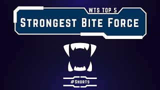 WTS Top 5 Strongest Bite Force | #Shorts