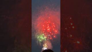 Fireworks in Japan #chill #music #lofi #zoo #food #cute #cute #fireworks