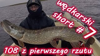 108 Z PIERWSZEGO RZUTU/WĘDKARSKI SHORT#7/JESIENNY SZCZUPAK