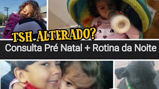 VLOG: Dia de consulta pré natal com 36 semanas + castração da gata