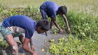 Best amazing Fishing Video 2024 -Lost Fishing Culture Of Village People