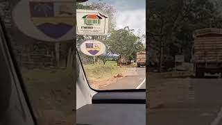 Chabera to Ikonge . Kenya 🇰🇪 #youtube #shortvideo #kenyaroads Kenya #kericho