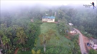 Blue Magpie Lodge , Sinharaja | Hotels in Sri Lanka