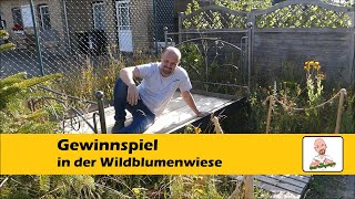 Gewinnspiel, Saatgut ernten aus der Wildblumenwiese