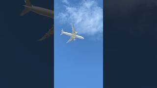 Ethiopian Boeing 787-9 Dreamliner overhead #planespotting #viral #ethiopianairline #shorts