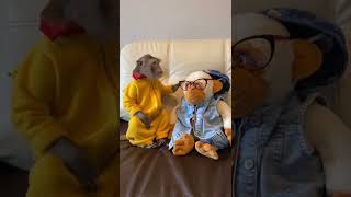 Эй махаться будешь со мной 🐒🤣 #shorts #приколы #funny