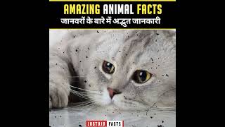 Fantastic And Incredulous Facts About Animals 🐌| Insane Facts | #shorts #justujufacts