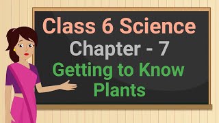 Class 6 Science Chapter 7 'Getting to Know Plants' full chapter cbse ncert