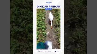 Pernah dikejar preman saat ngirim paket?