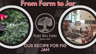 From Farm to Jar OUR FIG JAM RECIPE