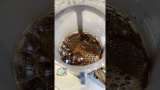 A little #rovinghouse blend #coffee #asmr with the Grumps the #frog #enamelpin .