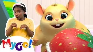 Lost Hamster + MORE! | MyGo! Sign Language For Kids | CoComelon - Nursery Rhymes | ASL