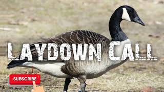 Duck Hunting Call - Canadian Goose Laydown Call - Free Download