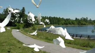 Indian Camp Creek Park Wentzville MO St Louis Doves Release Company Greg and Rene Bruckerhoff Moscow