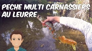 Pêche Multi Carnassiers au Leurre Microbait HD ;)