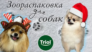 Большая распаковка 🐾 Новогодние зоотовары, новинки Triol | игрушки, одежда, вкусняшки для собак