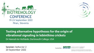 Testing alternative hypotheses for the origin of vibrational signaling in lebinthine crickets