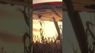 Close call UFO over farm field