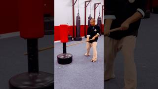 Short staff  Hit the target #kungfu #shaolin#shortstaff#wushu#MartialArts