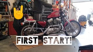 Harley Davidson sportster 1200 project FIRST START!